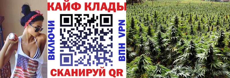 Магазин наркотиков Жердевка Амфетамин  Alpha PVP  ГАШИШ  Cocaine  Каннабис 