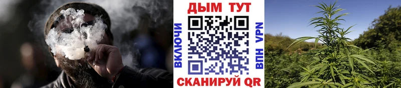 Бошки Шишки марихуана  Жердевка 